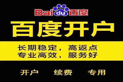 大数据分析在竞价广告中的应用